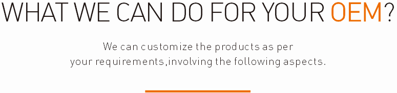 WHAT WE CAN DO FOR YOUR OEM